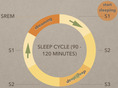 Riding the Sleep Cycle